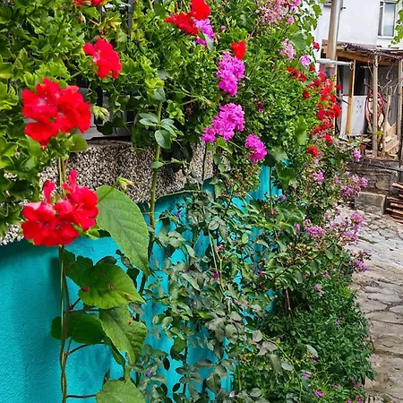 Turquoise 4 Bds * Veliko Tarnovo
